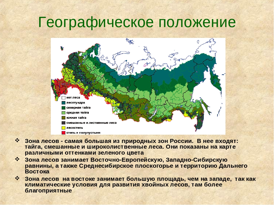 План описания природного района тайга