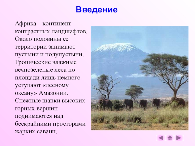 География 7 класс разнообразие природы африки. Природные зоны Африки саванны. Растительный мир Африки. Животные и растения Африки. "Африка": растительный.