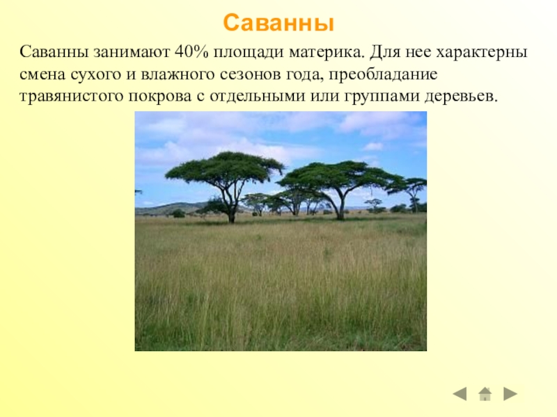 Презентация африка природные зоны. Саванны презентация. Растительный и животный мир саванны. Саванна это природная зона. Описание саванны.