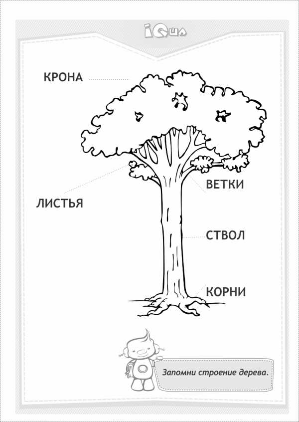 Листья Деревьев Фото Для Детей