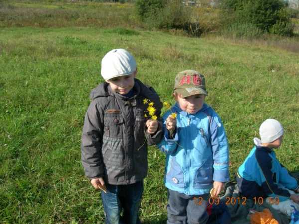 obrazec proekta moya malaya rodina 1 klass okruzhayucshij mir 51