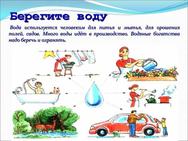 Проект берегите природу 4 класс