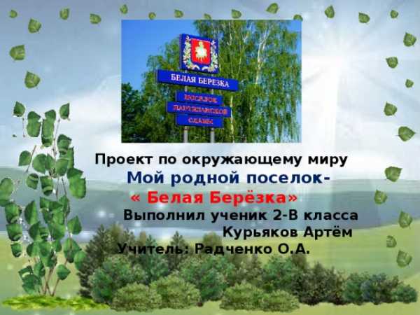 Проект по окружающему миру 2 класс города россии волгоград план моего выступления