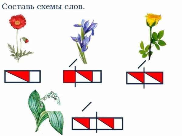 Фото Цветов Для 1 Класса