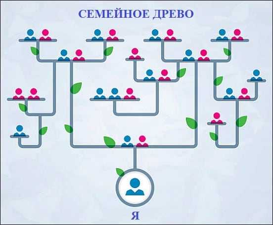 Shema Genealogicheskogo Dereva Shablon Kak Sostavit Genealogicheskoe Drevo Semi I Roda Club Detstvo Ru Centr Iskusctv I Tvorchestva Marina Rosha