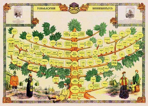 Генеалогическое древо схема