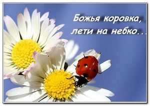 закличка что это такое определение. закличка что это такое определение фото. картинка закличка что это такое определение. смотреть фото закличка что это такое определение. смотреть картинку закличка что это такое определение.